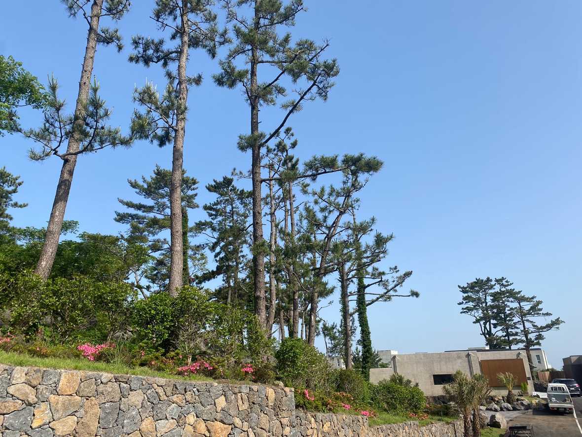 산티아고제주 - 메인