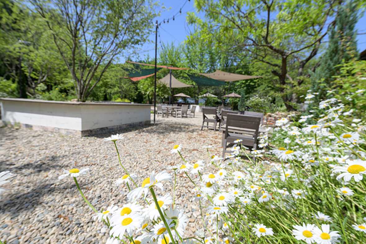 편의시설 & 서비스