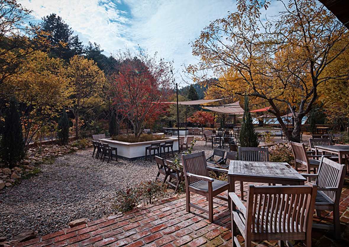 편의시설 & 서비스