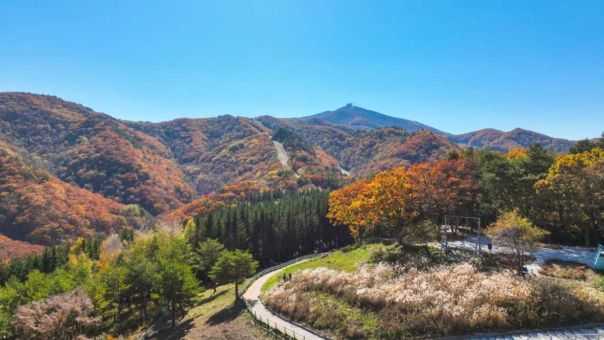 용평리조트 그린피아 콘도 - 기타