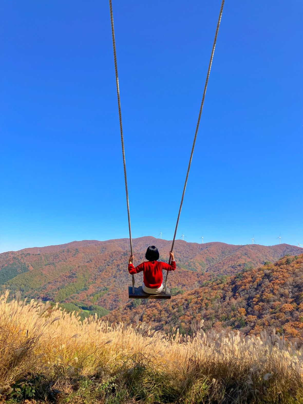 용평리조트 그린피아 콘도 - 기타