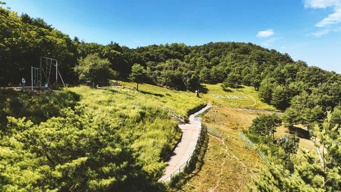 용평리조트 그린피아 콘도 - 기타