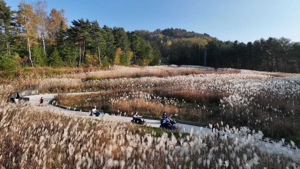 용평리조트 그린피아 콘도 - 기타