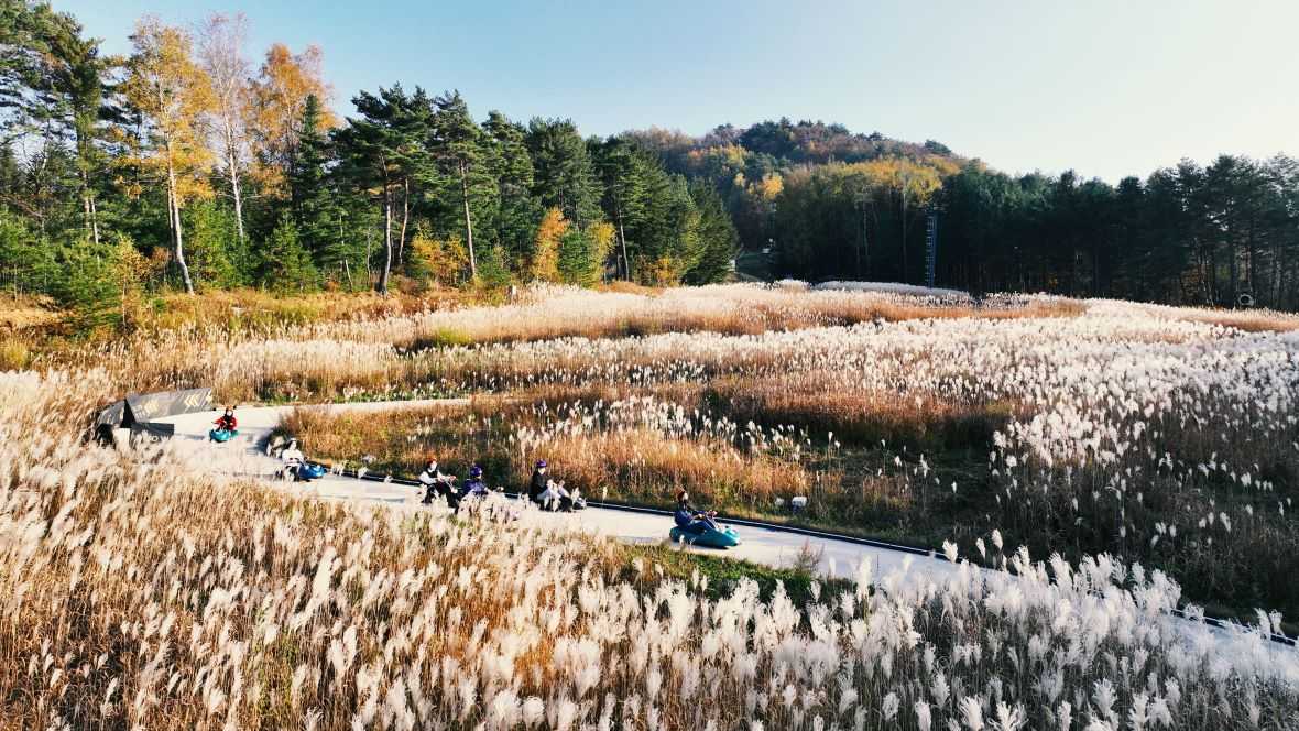 용평리조트 그린피아 콘도 - 기타