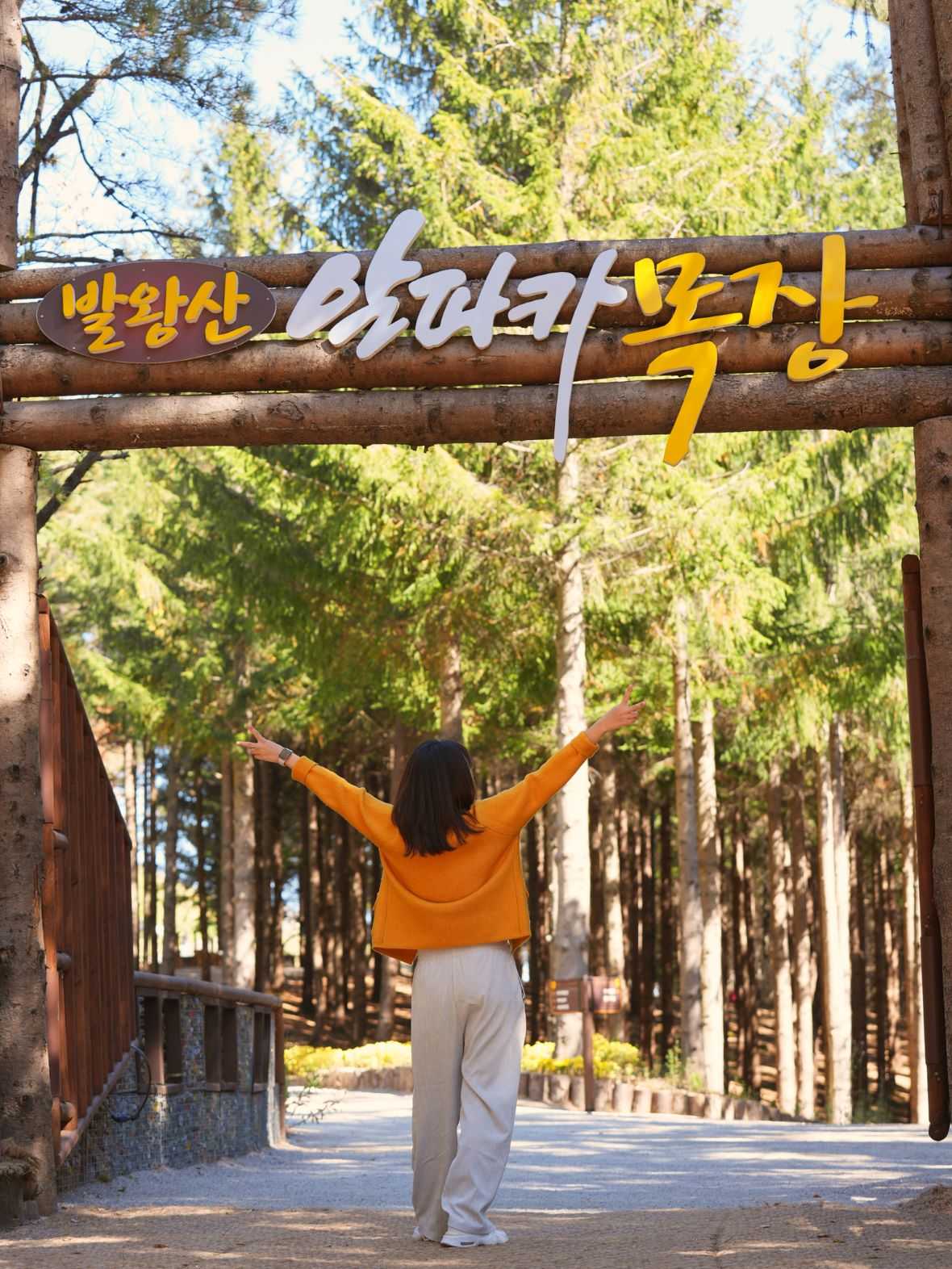 용평리조트 그린피아 콘도 - 기타