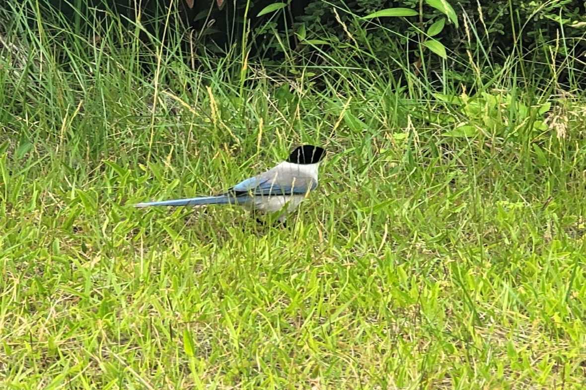 편의시설 & 서비스