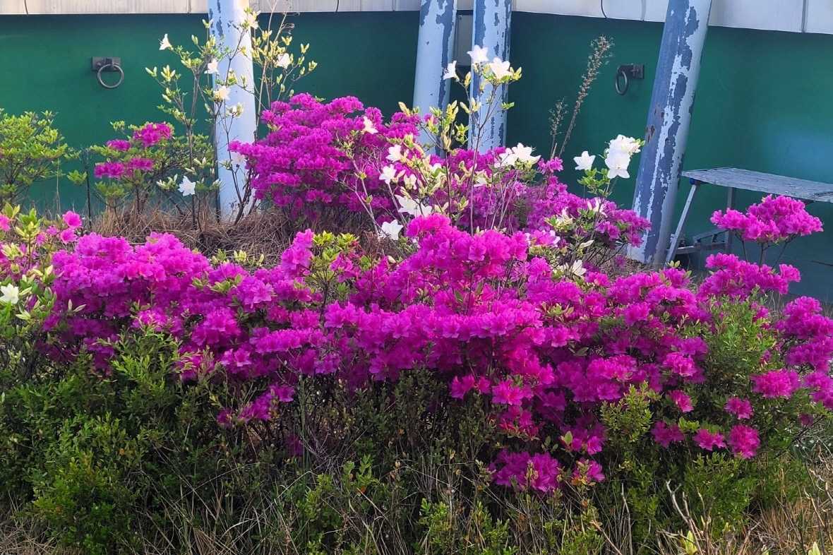 편의시설 & 서비스