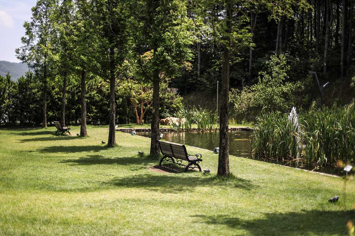 편의시설 & 서비스