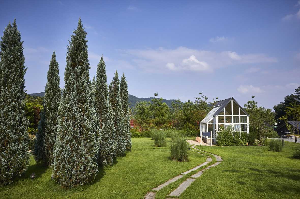 편의시설 & 서비스