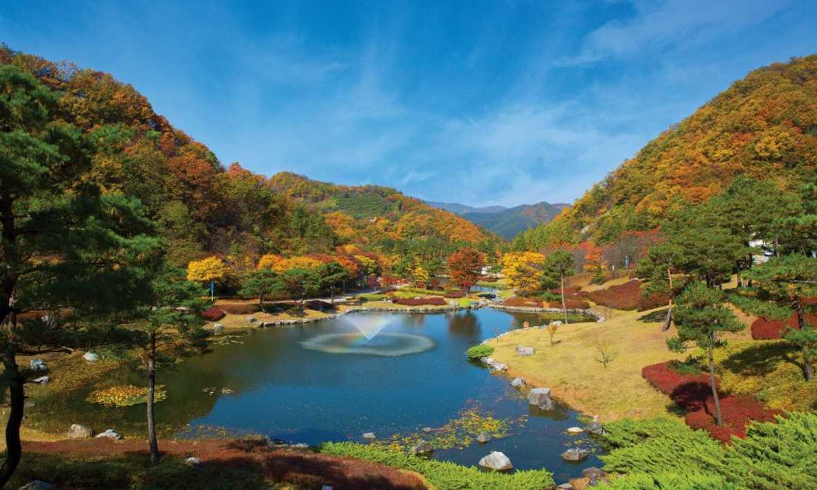 엘리시안 강촌 리조트 - 외관