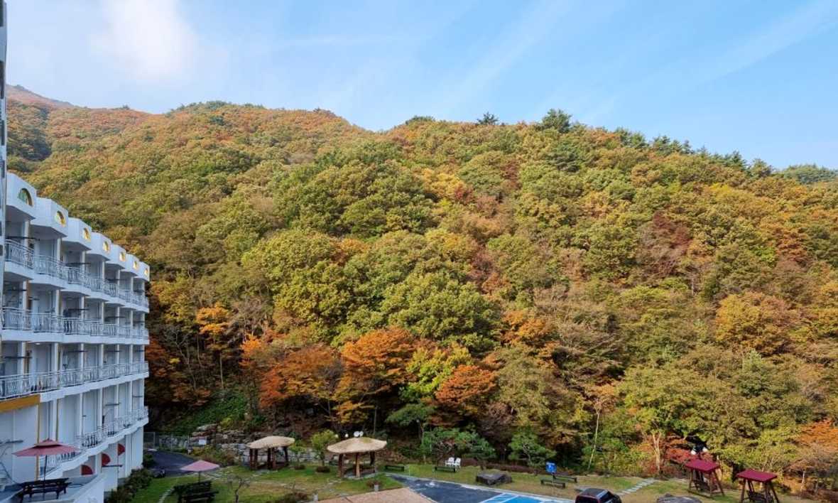 구례 준성리조트 - 메인