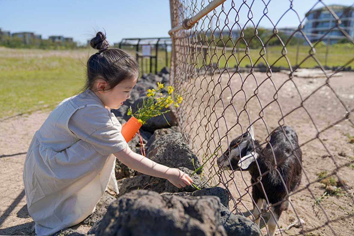 편의시설 & 서비스