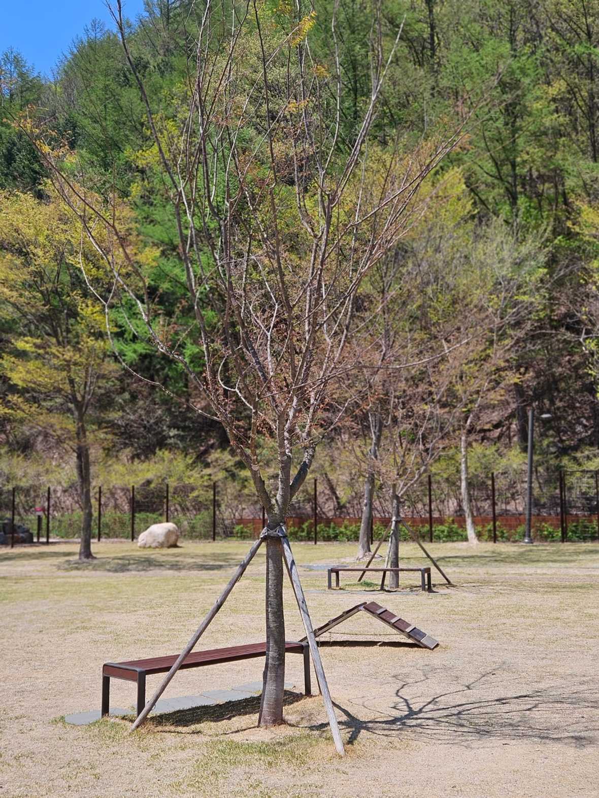 편의시설 & 서비스