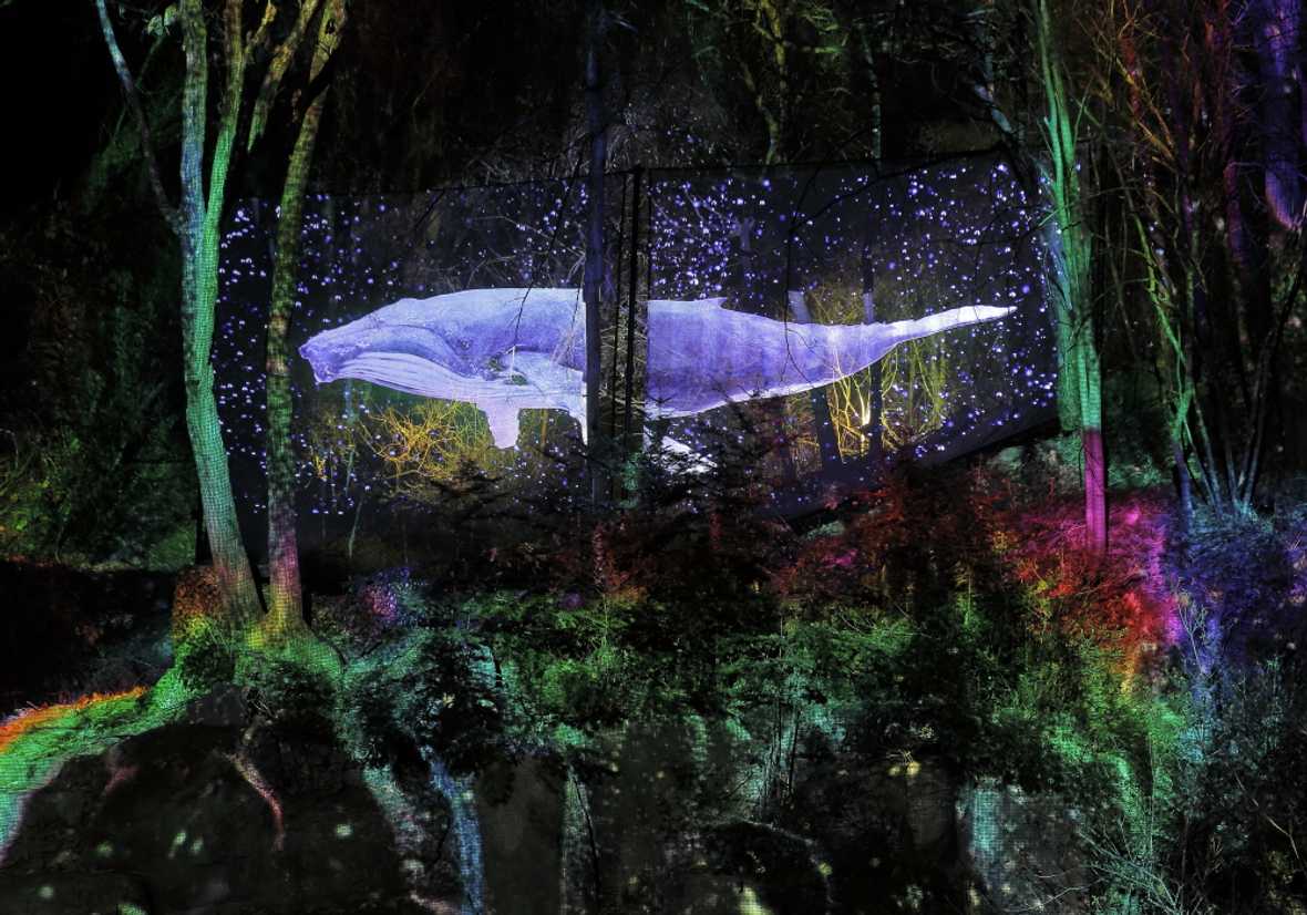 편의시설 & 서비스