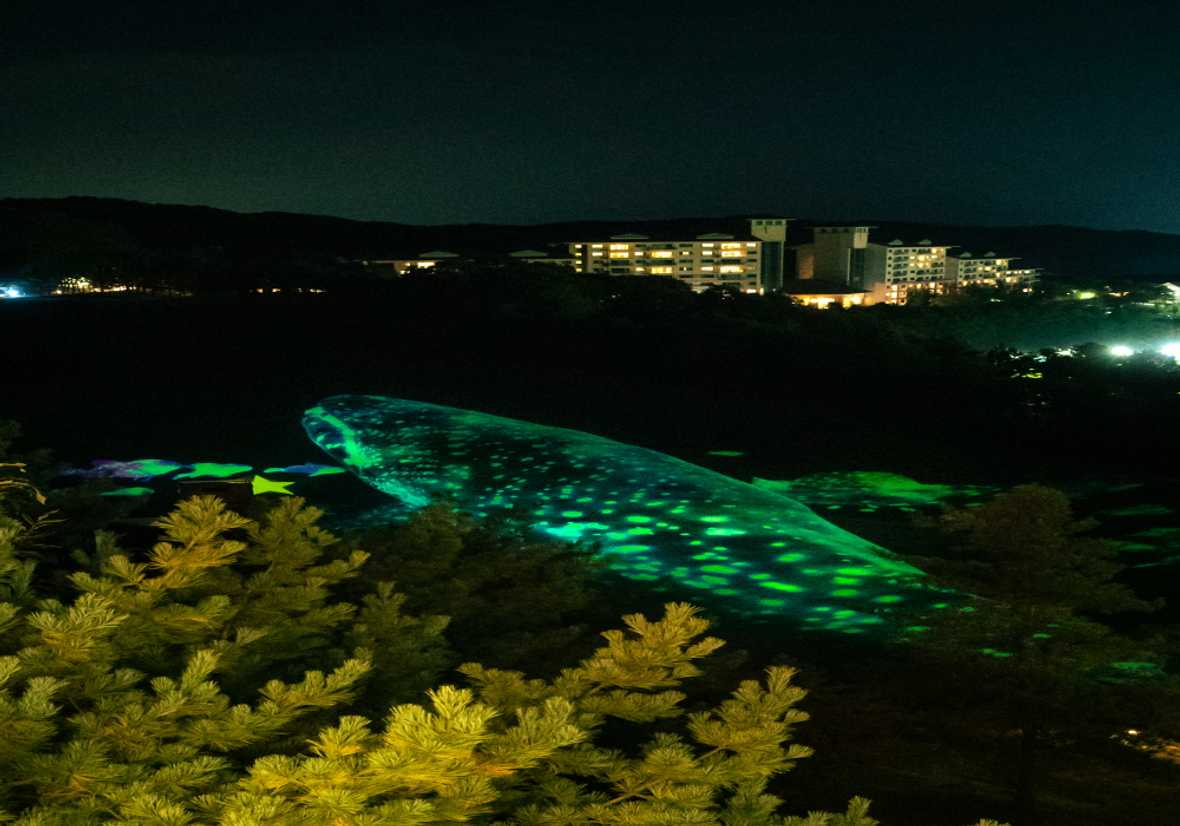 편의시설 & 서비스