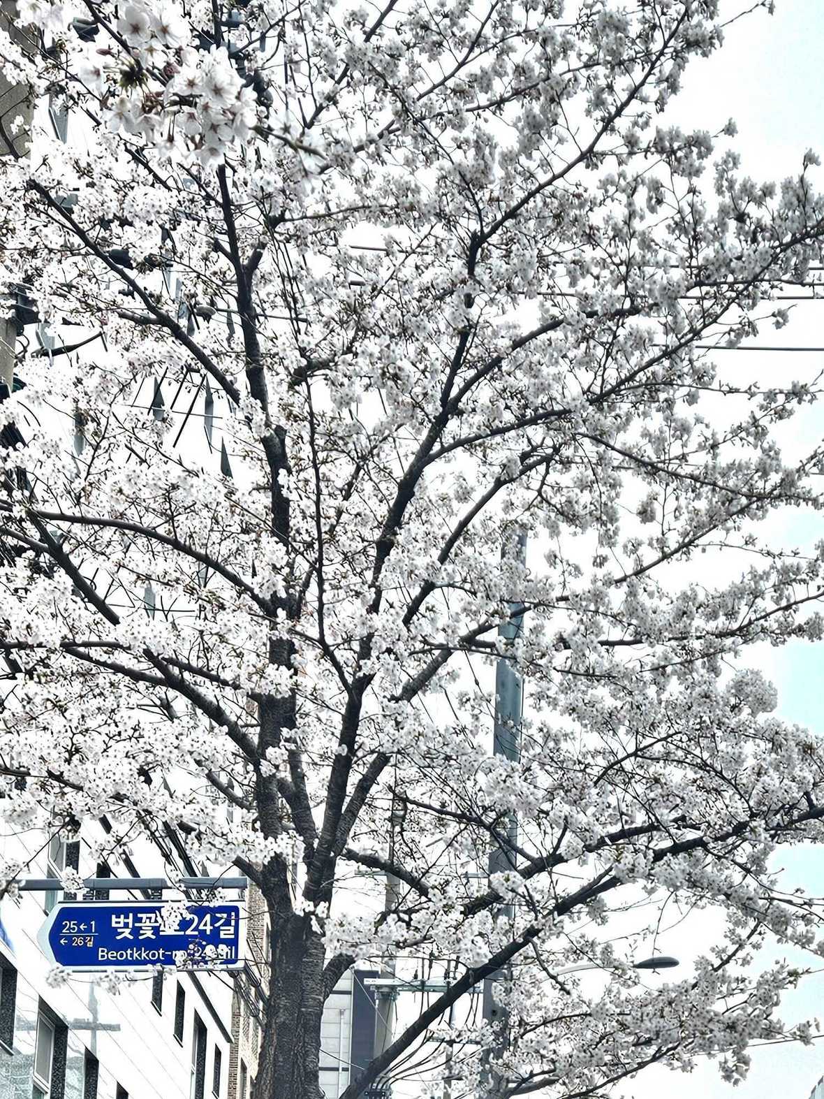 홈즈스테이 지밸리 가산 - 기타