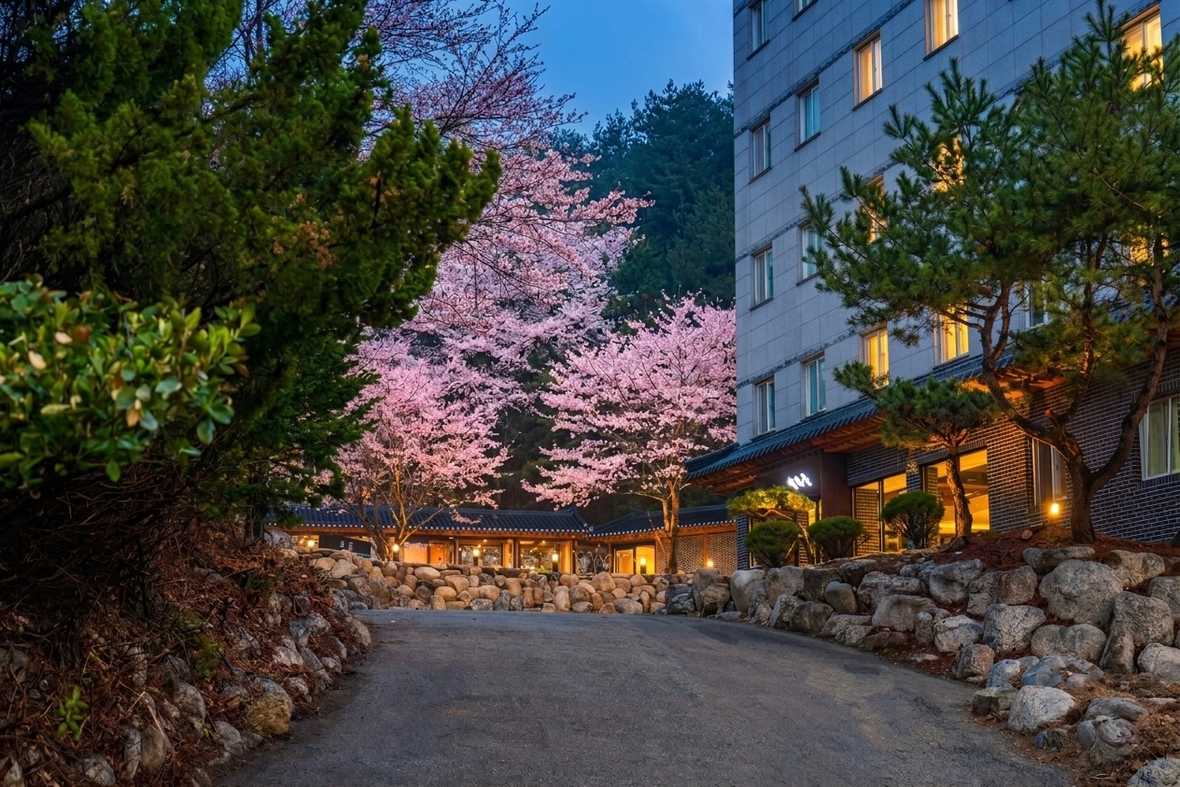 연화문호텔 양양 - 외관