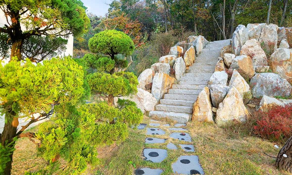 엘리야 리조트 - 메인