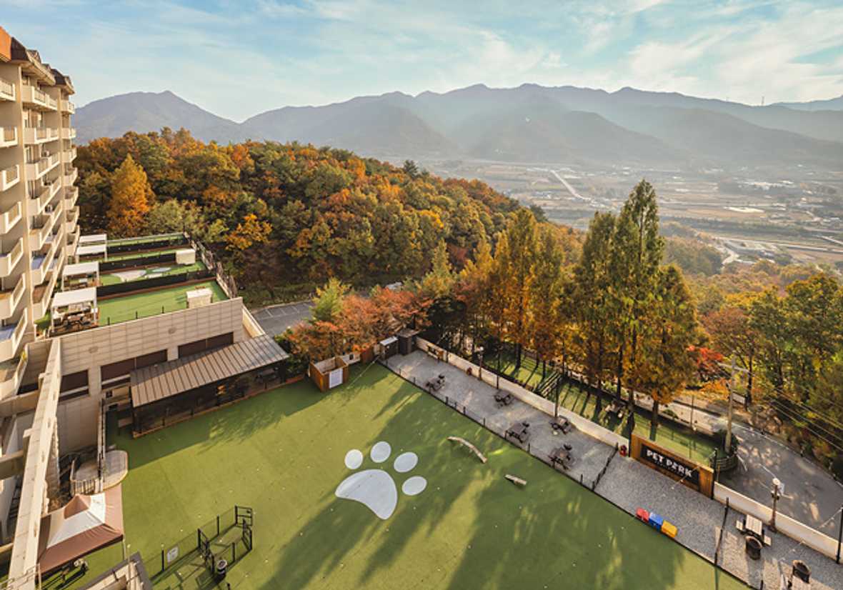 켄싱턴리조트 충주 - 메인