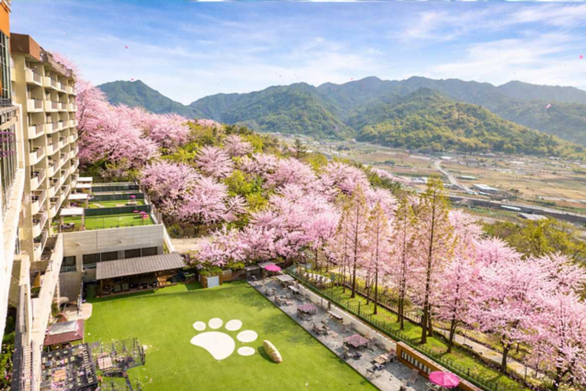 켄싱턴리조트 충주 - 메인