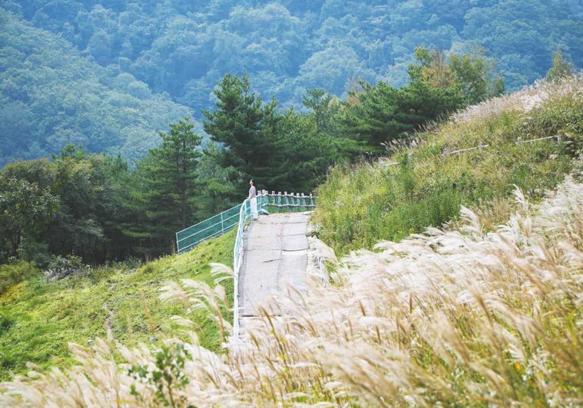 용평리조트 타워 콘도 - 메인