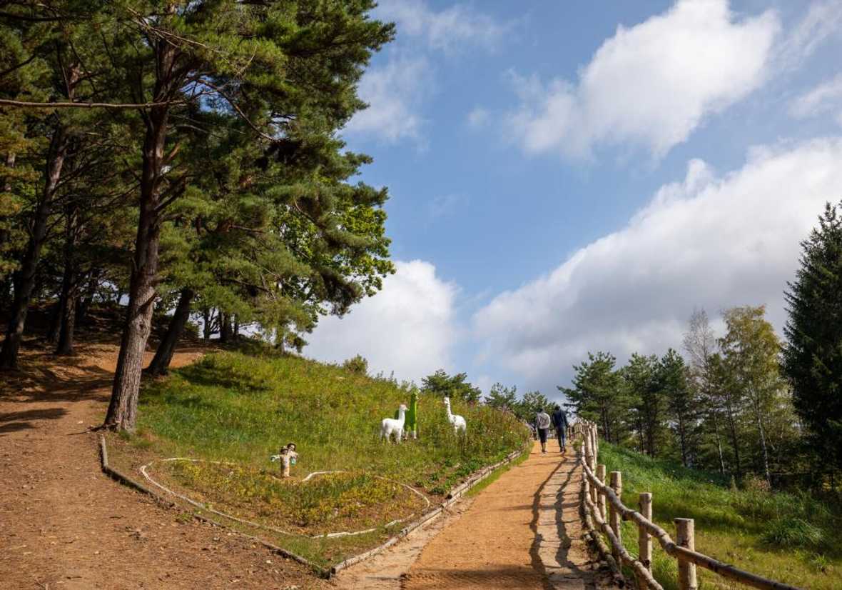 용평리조트 드래곤밸리호텔 - 메인