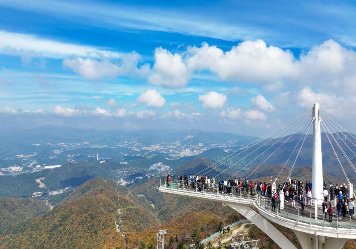용평리조트 드래곤밸리호텔 - 메인