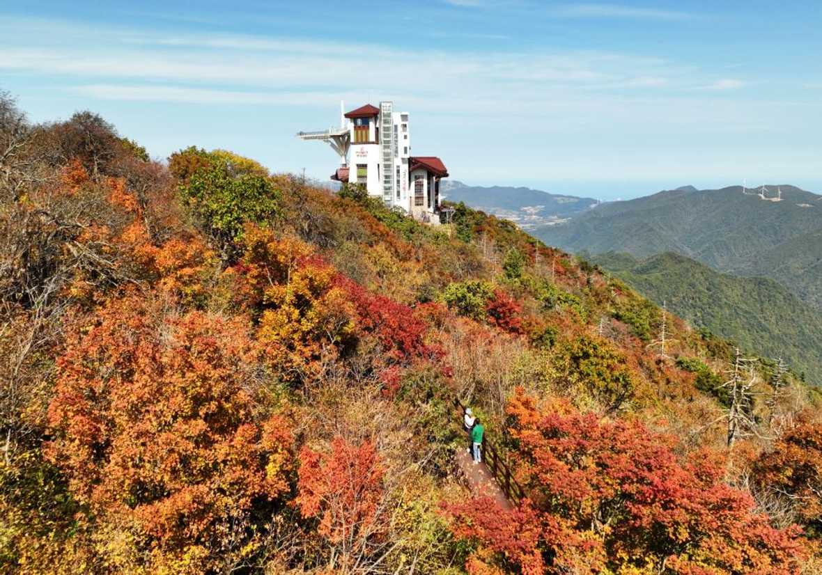 용평리조트 타워 콘도 - 메인