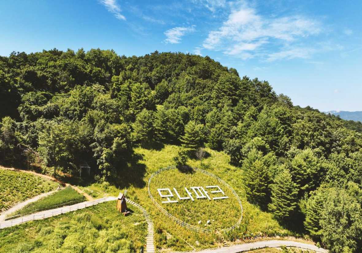 용평리조트 드래곤밸리호텔 - 메인