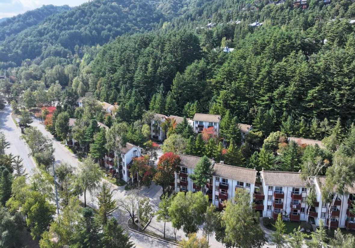 용평리조트 타워 콘도 - 메인