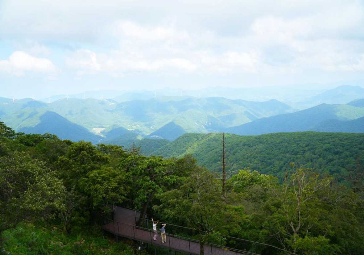 용평리조트 타워 콘도 - 메인