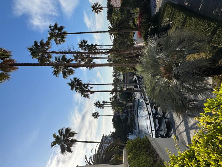 호캉스 하기 좋은 제주 호텔