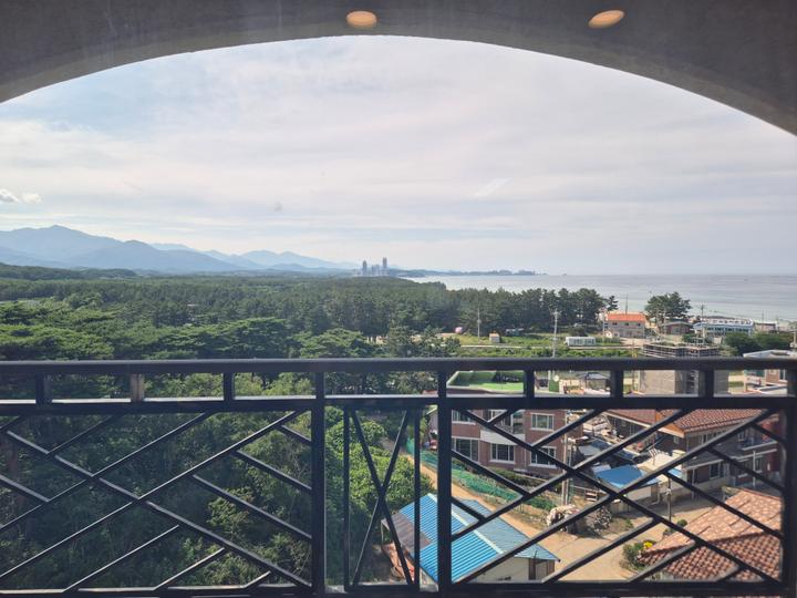 올해도 만족