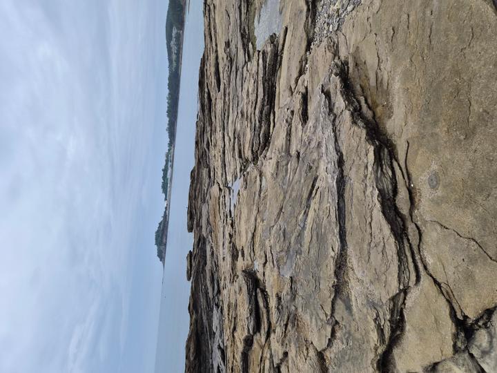 소노벨 변산~