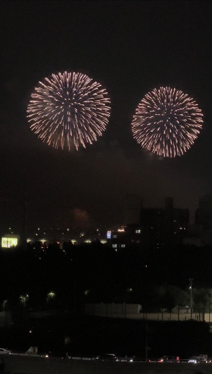 서울 나들이 겸 불꽃축제 구경