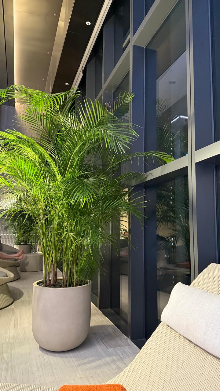 도심 속 완벽한 휴식, 풀만이스트폴에서의 하루