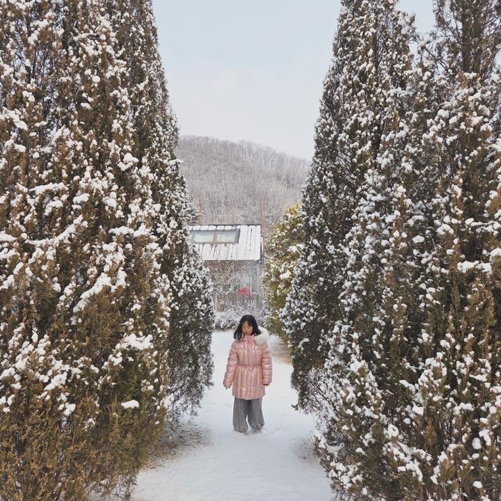 예상치 못한 보물같은 호텔