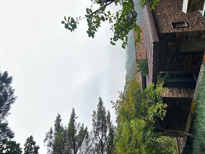 🌳포레스트 리솜 숙박 리뷰