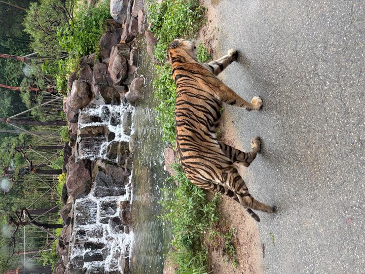 강추