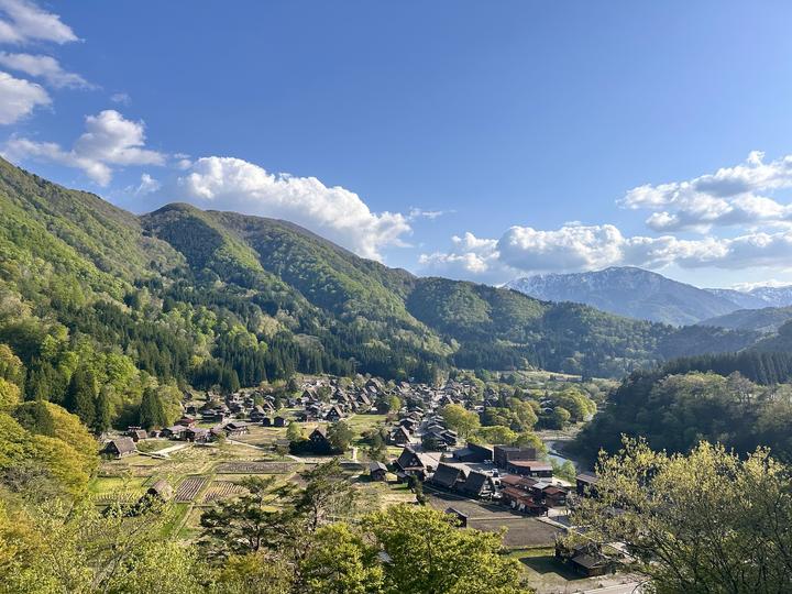 나고야 시라카와고 🌳🍵